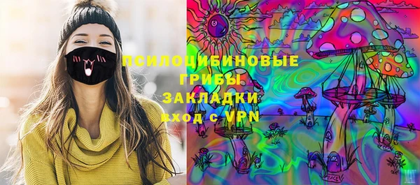 ПСИЛОЦИБИНОВЫЕ ГРИБЫ Алзамай