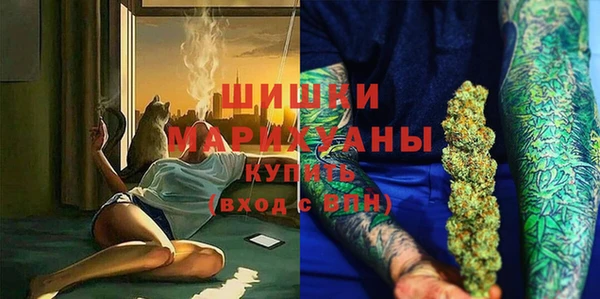 ПСИЛОЦИБИНОВЫЕ ГРИБЫ Алзамай