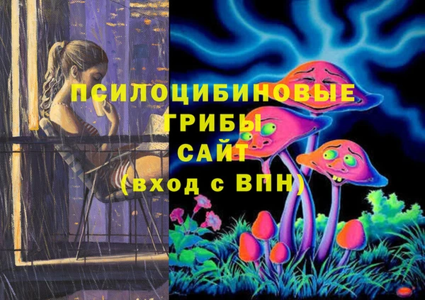 герыч Алексеевка