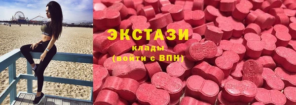 СК Алексин
