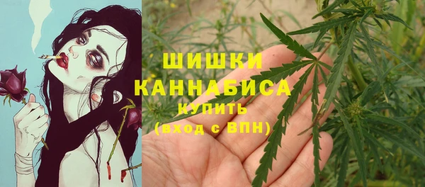 ПСИЛОЦИБИНОВЫЕ ГРИБЫ Алзамай