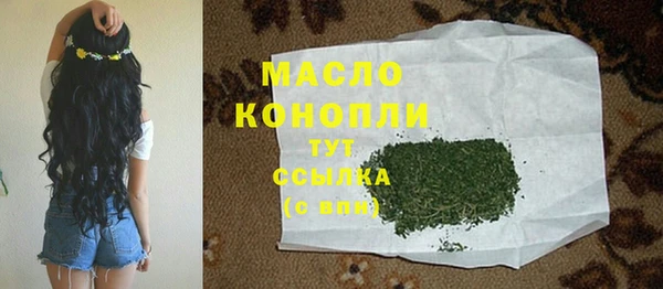 СК Алексин