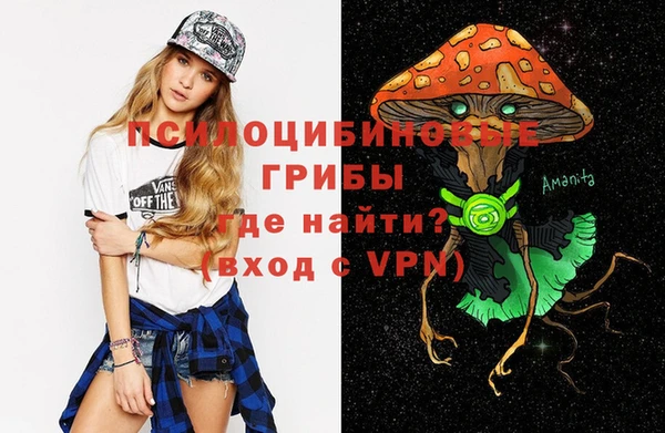 ПСИЛОЦИБИНОВЫЕ ГРИБЫ Алзамай