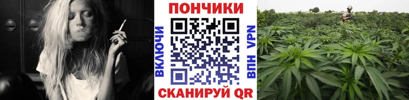 дарк нет какой сайт Аркадак Бошки марихуана планчик сколько стоит